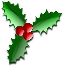 Holly PNG